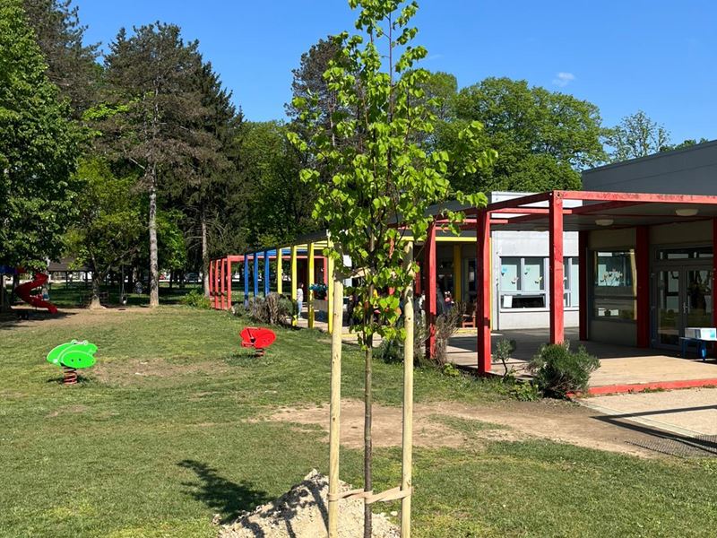 Obilježen Dan planeta Zemlje