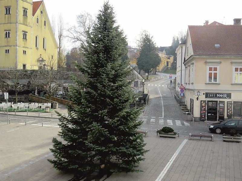 Sveti Nikola pomaže kititi božićno drvce