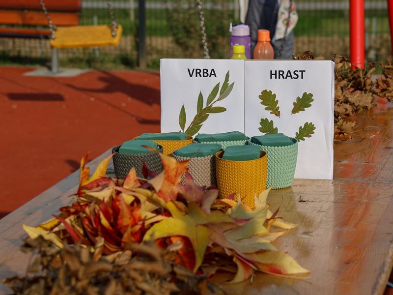 Samobor nastavlja sa sadnjom stabala