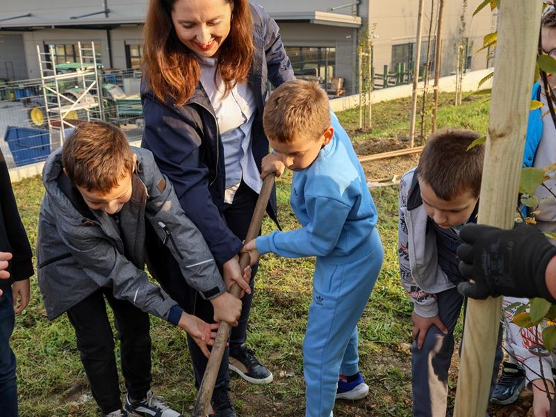 Samobor nastavlja sa sadnjom stabala