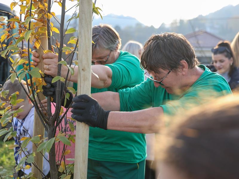 Samobor nastavlja sa sadnjom stabala