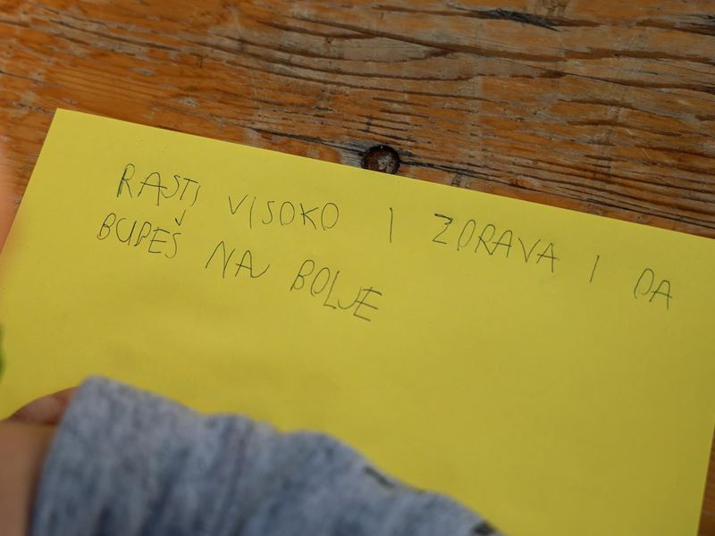 Samobor nastavlja sa sadnjom stabala