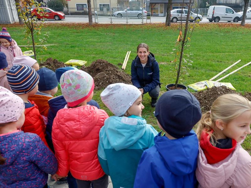 Samobor nastavlja sa sadnjom stabala