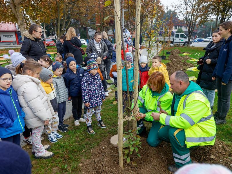 Samobor nastavlja sa sadnjom stabala
