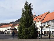 Postavljen je bor na Trgu kralja Tomislava