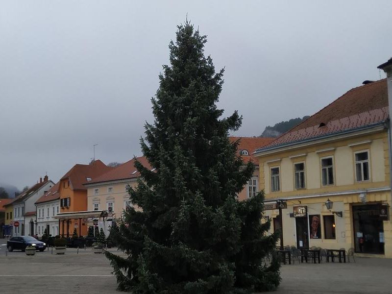 Postavljen bor na Trg kralja Tomislava