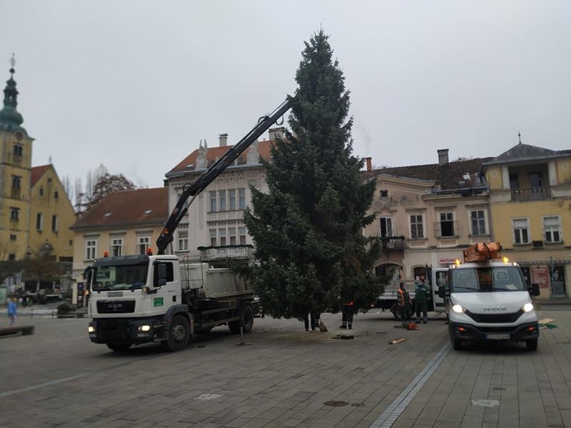 Postavljen bor na Trg kralja Tomislava