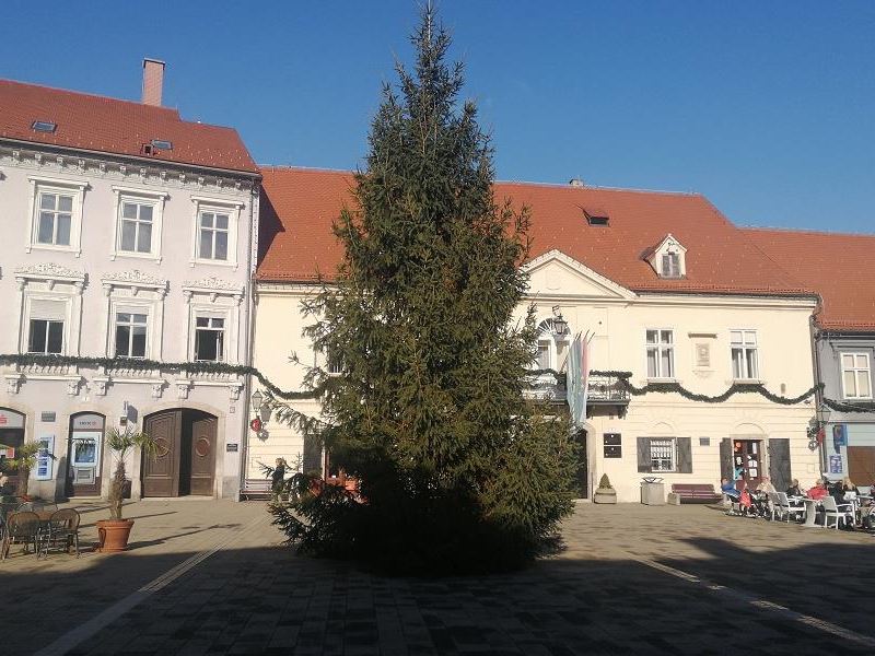 Postavljen bor na Trg kralja Tomislava