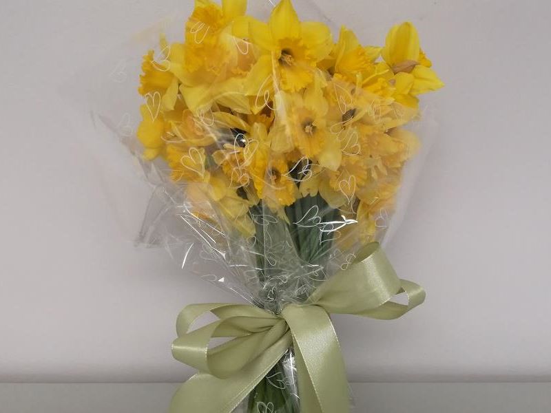 Obilježen Dan narcisa