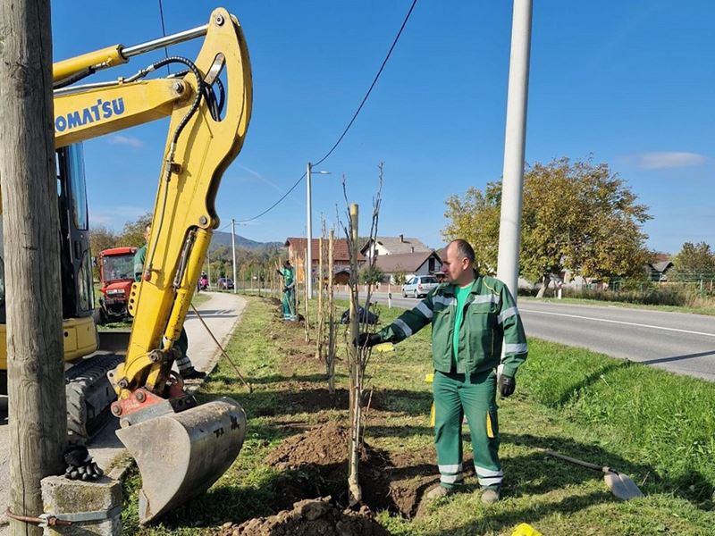 Novi drvoredi u Bregani