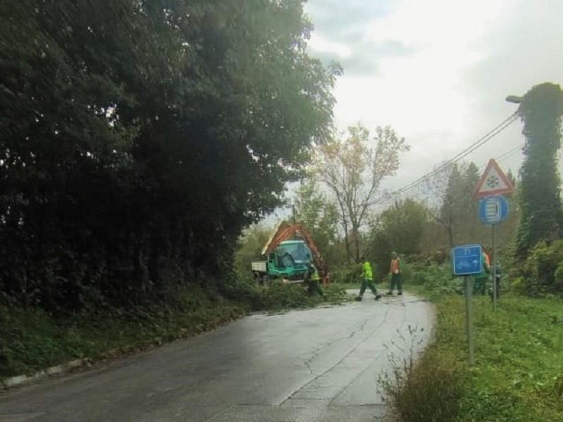 Orezivanje granja uz cestu