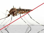 3. adulticidni tretman suzbijanja komaraca