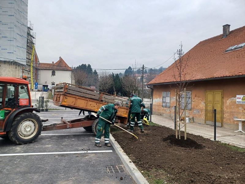 Zimska sadnja
