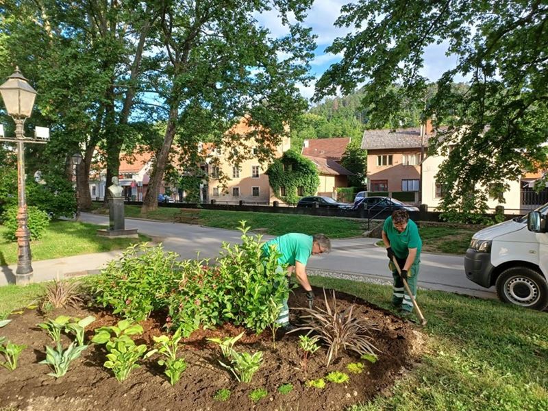 Novo cvijeće kod Samoborskog muzeja