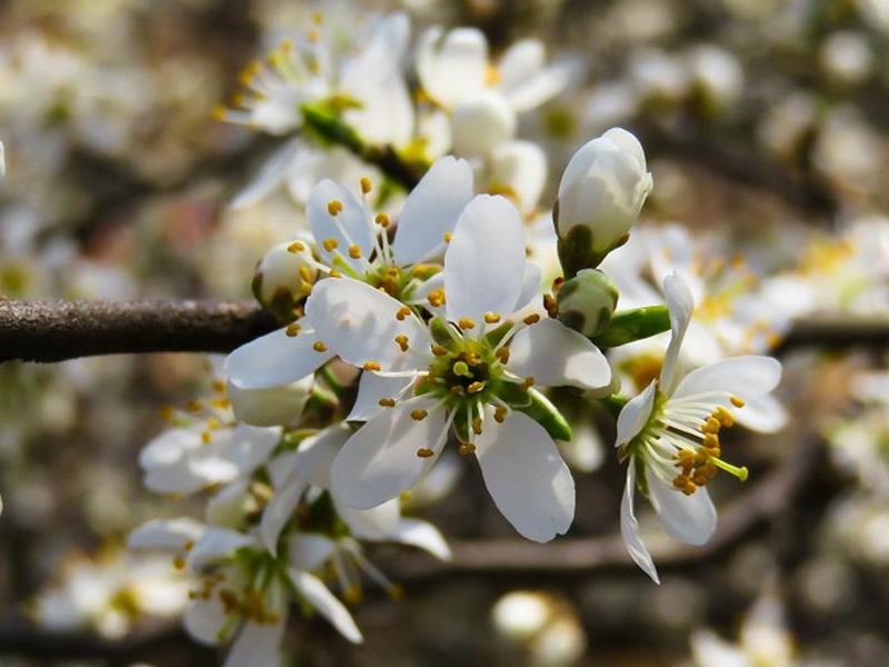 Sretan Praznik rada!
