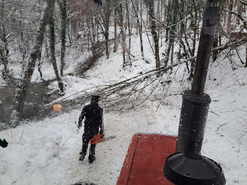 Urušena stabla na prometnici