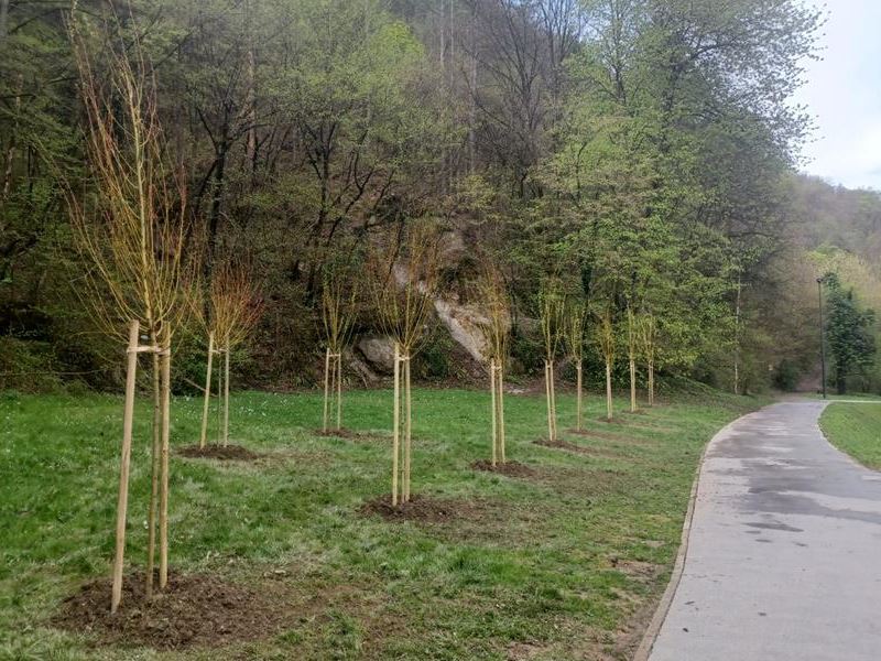 Sadnja za Dan planeta Zemlje