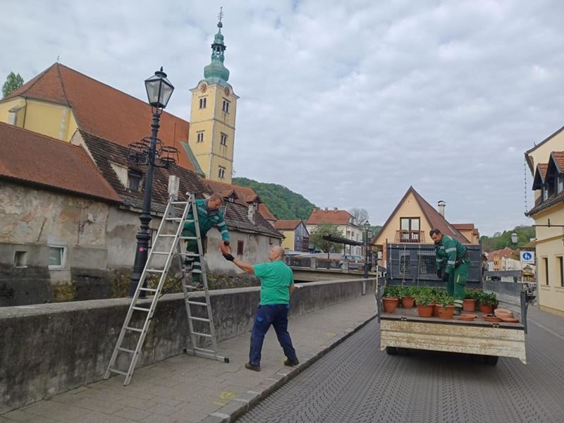 Postavljene žardinjere s ljetnicama