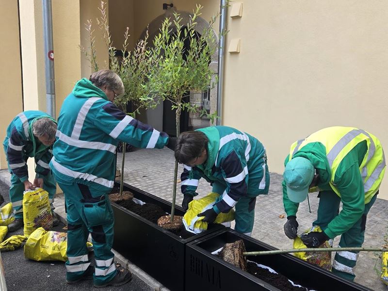 Pripreme za Dan grada Samobora